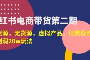 小红书电商，有货源，无货源，虚拟产品，付费投流，月利润20w