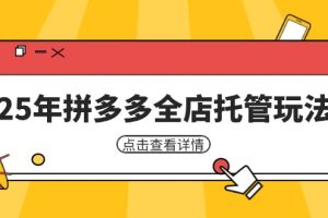 25年拼多多全店托管玩法，矩阵动销裂变玩法如何低风险盈利 新手运营秘籍