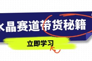 水晶赛道带货秘籍，国学结合、短视频起号、拍摄技巧、直播话术等内容