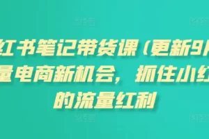 张宾·小红书笔记带货课(更新6月)，抓住小红书的流量红利