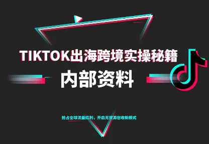 TikTok跨境电商0-1搭建运营(更新10月)