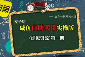 麦子甜咸鱼自助卖货实操版(虚拟资源)一个会自动搞钱的机器