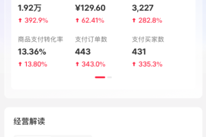 AI原创高客单虚拟产品矩阵，单店利润破万