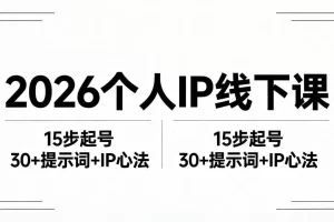 个人IP全套资料：15步起号流程+30+提示词+IP心法实战秘籍