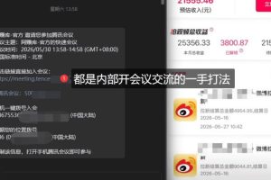微博蓝海项目1.0：花式操作全攻略+AI引流深度拆解，手把手喂饭教学