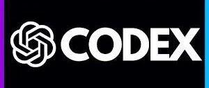 精华资料：Codex全解